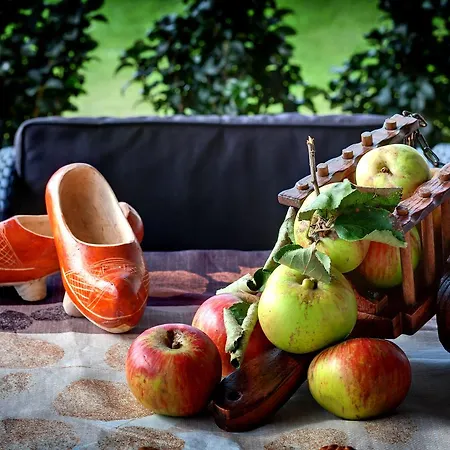 Εξοχικό σπίτι Rurales 